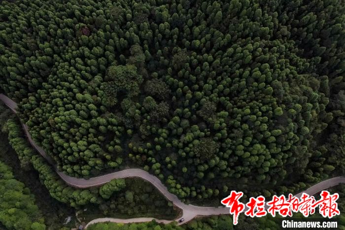 image049 - 【布拉格时报】南岭国家公园创建成果丰硕 绿美广东迈出坚实步伐