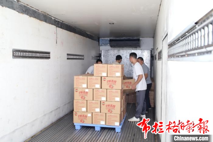 20240919 173828 - 【布拉格时报】广州从化冻眠荔枝首次出口