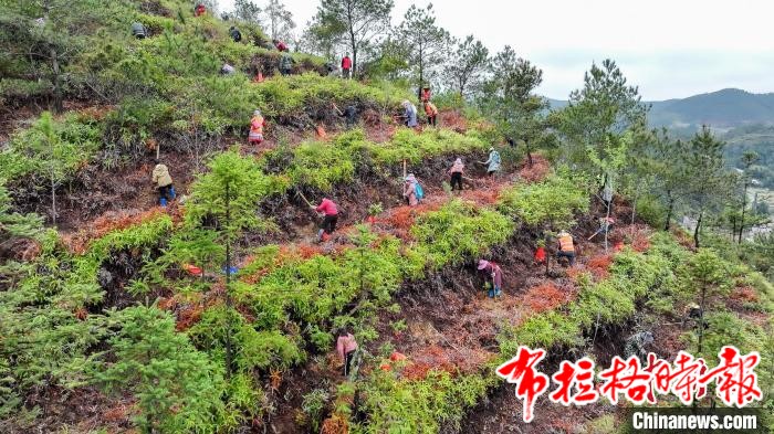 image017 - 【布拉格时报】绿美为民！广东着力打造更多绿色生态空间