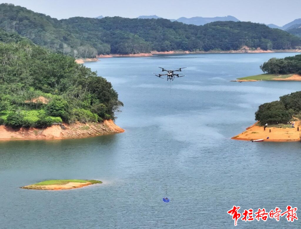 image007 1024x780 - 【布拉格时报】擦亮“广东荔枝”金字招牌