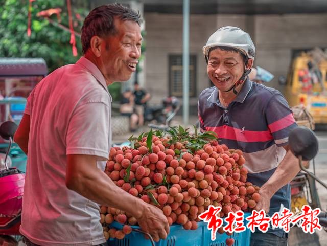 image012 - 【布拉格时报】“甜”满整个夏天！广东荔枝季正式开启