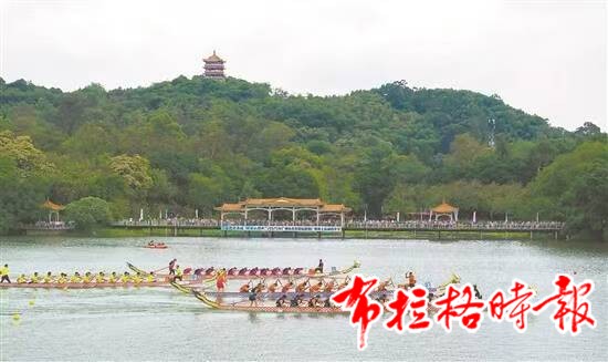image014 - 【布拉格时报】岭南龙舟：看得见乡愁根系，触得到未来枝芽