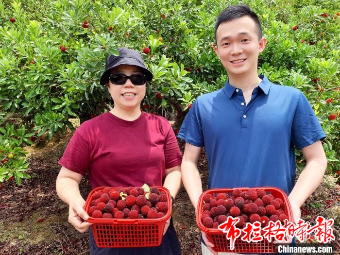 image061 - 【布拉格时报】广东台山种植户喜上“梅”梢