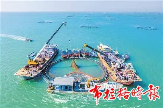 image005 1 - 【布拉格时报】向深蓝进发！ 广东加快耕海牧渔丰实粤海粮仓