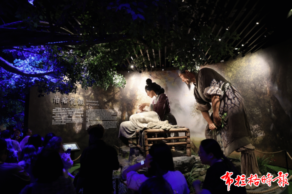 image030 1024x681 - 【布拉格时报】《指环王》团队操刀！这座新开的中医药体验馆藏着多少东方智慧？