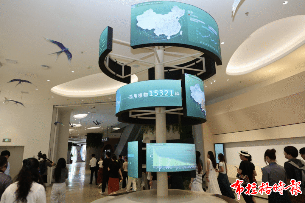 image032 1024x680 - 【布拉格时报】《指环王》团队操刀！这座新开的中医药体验馆藏着多少东方智慧？