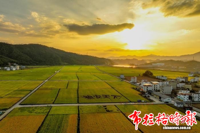 image037 - 【布拉格时报】广东河源“航天稻米”飘香 播种亚非6国