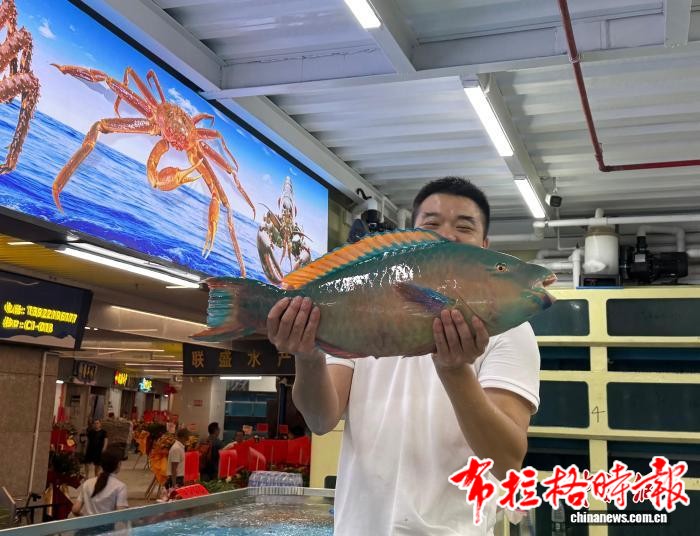 image061 - 【布拉格时报】黄沙水产新市场开档 “老广”的“鲜味江湖”升级