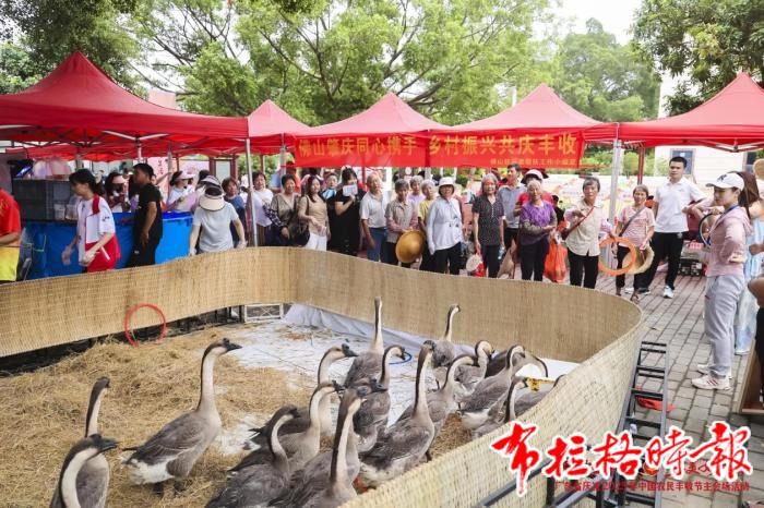 image033 - 【布拉格时报】广东举办庆丰收活动 民众“一站式”尝遍岭南“丰”味