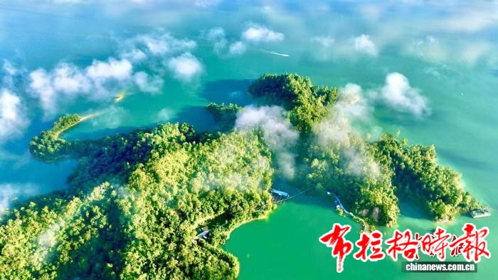 image047 - 【布拉格时报】探访广东万绿湖国家湿地公园：绘就生态绿美新画卷