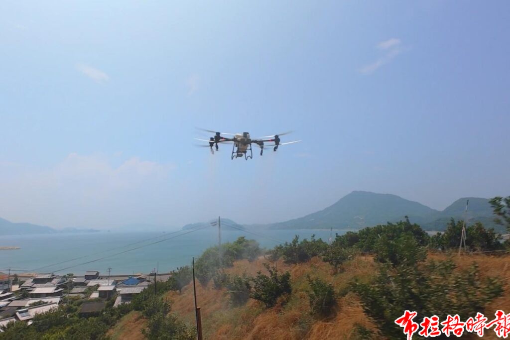 image035 1 1024x683 - 【布拉格时报】生活在别处，广货在身边