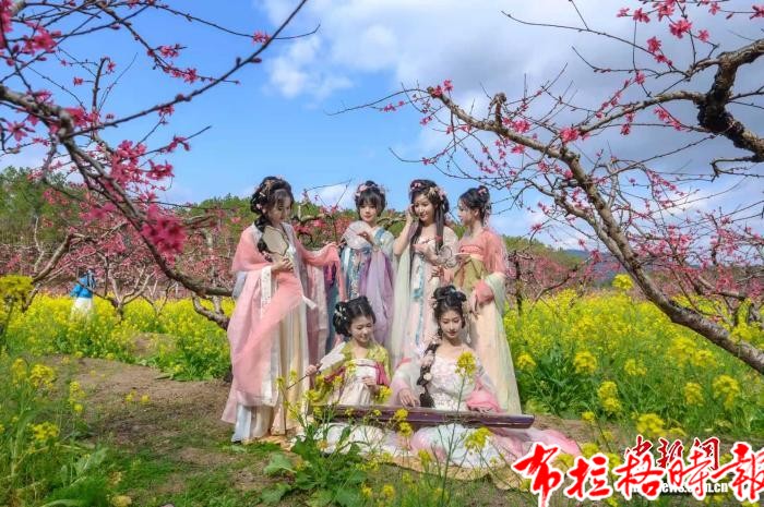 image037 1 - 【布拉格时报】5000多亩桃花绽放 广东连州启动赏花季