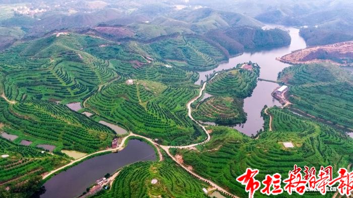 image021 - 【布拉格时报】广东森林生态效益持续跃升 稳居全国最&ldquo;绿&rdquo;省份行列