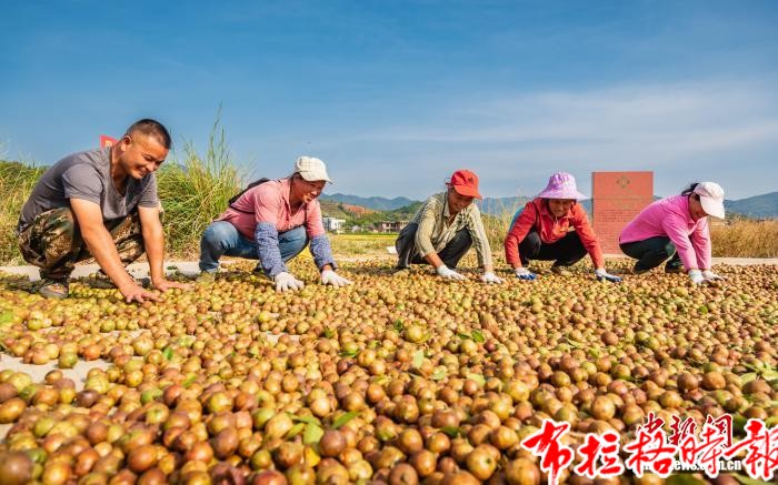 image023 - 【布拉格时报】广东森林生态效益持续跃升 稳居全国最&ldquo;绿&rdquo;省份行列