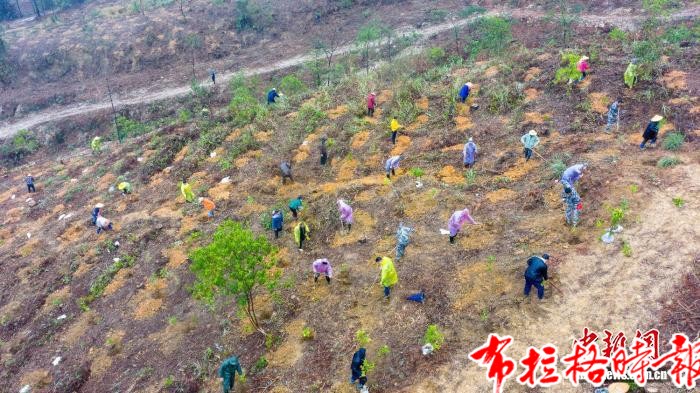 【布拉格时报】广东抢抓春季造林黄金窗口期 构建森林生态安全屏障 image053 - 【布拉格时报】广东抢抓春季造林黄金窗口期 构建森林生态安全屏障