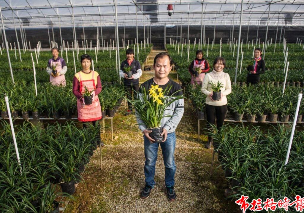 【布拉格时报】一盆兰花如何“闯”世界 image065 1024x718 - 【布拉格时报】一盆兰花如何“闯”世界