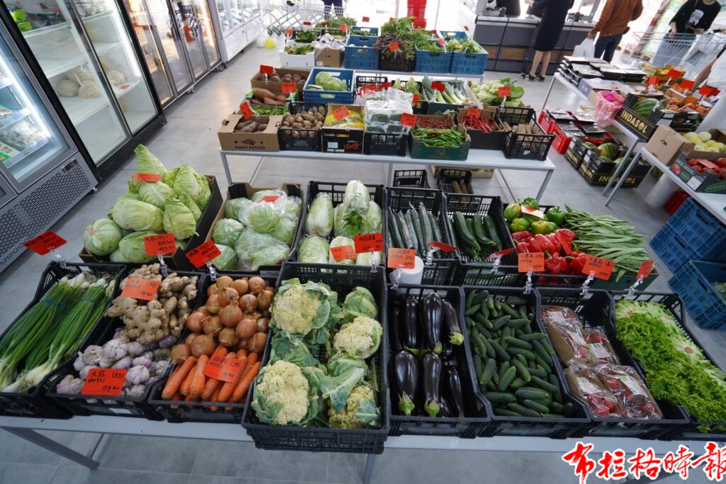 旅捷华人“熊猫超市”在布拉格SAPA隆重开业,打造亚洲食品一站式采购新地标 DSC00631 副本 1024x683 - 旅捷华人“熊猫超市”在布拉格SAPA隆重开业,打造亚洲食品一站式采购新地标