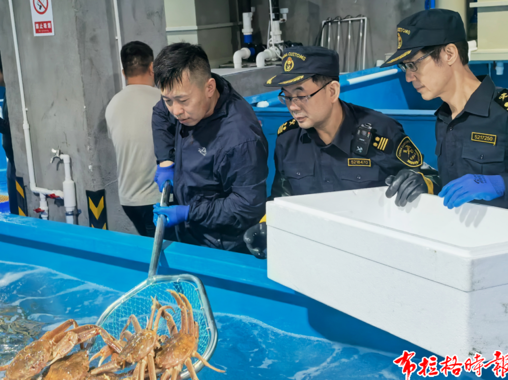image021 1024x765 - 【布拉格时报】企业实现&ldquo;北蟹南吃&rdquo;仓储梦