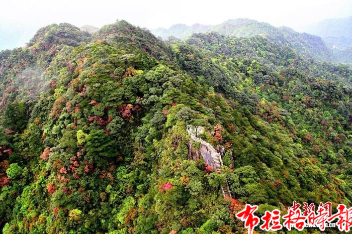 image023 1 - 【布拉格时报】从鼎湖山启序 70年广东自然保护地建设实现跨越式发展