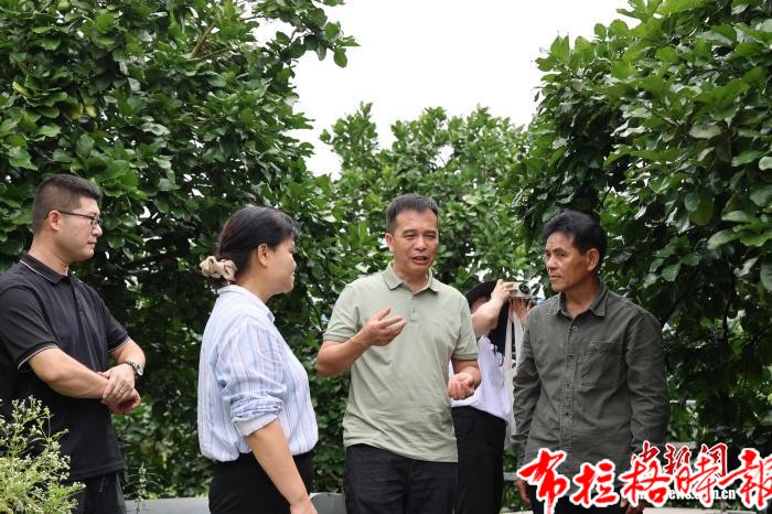 【布拉格时报】产研协同攻关 助梅州柚“废弃疏果”变“高值原料” image058 - 【布拉格时报】产研协同攻关 助梅州柚“废弃疏果”变“高值原料”