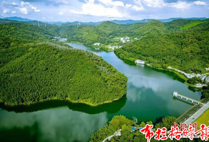 【布拉格时报】探访广州面积最大的红锥林:涵养水源 留存城市绿色空间 image025 - 【布拉格时报】探访广州面积最大的红锥林:涵养水源 留存城市绿色空间
