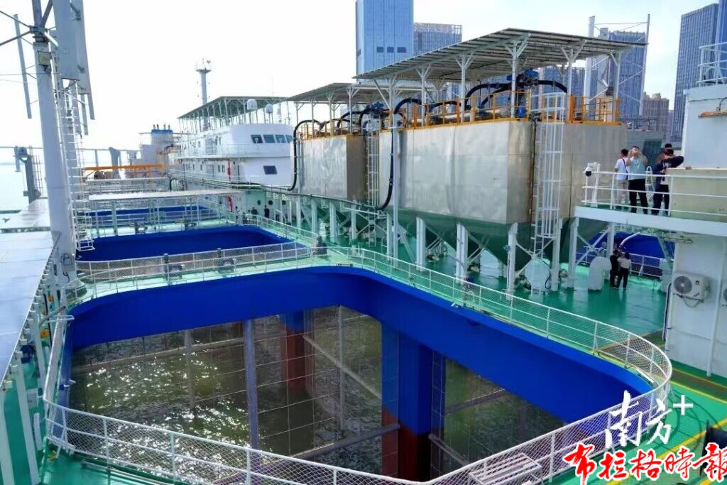 【布拉格时报】AI养的鱼,到底好不好吃?“湛江湾1号”首批渔获给出答案 image039 1024x683 - 【布拉格时报】AI养的鱼,到底好不好吃?“湛江湾1号”首批渔获给出答案