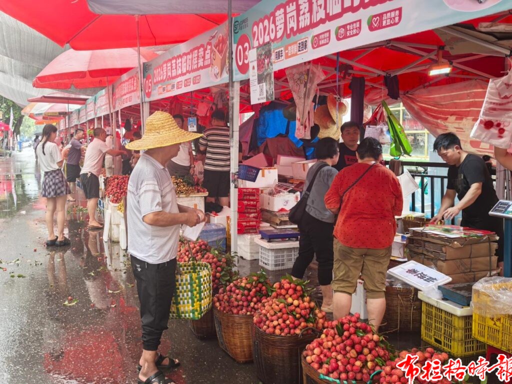 【布拉格时报】广州近600年历史的荔枝市场开市 image050 1024x768 - 【布拉格时报】广州近600年历史的荔枝市场开市