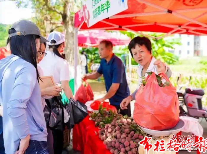 【布拉格时报】汕头雷岭荔枝连续23年畅销海外 image056 - 【布拉格时报】汕头雷岭荔枝连续23年畅销海外