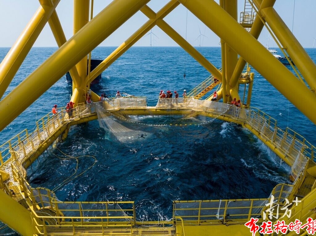 image001 1 1024x767 - 【布拉格时报】冲刺万亿级！广东现代化海洋牧场建设提速