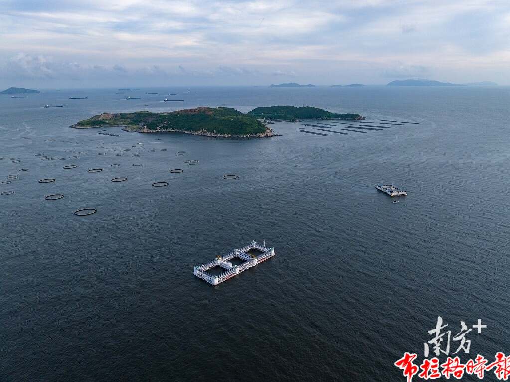 image003 1 - 【布拉格时报】冲刺万亿级！广东现代化海洋牧场建设提速