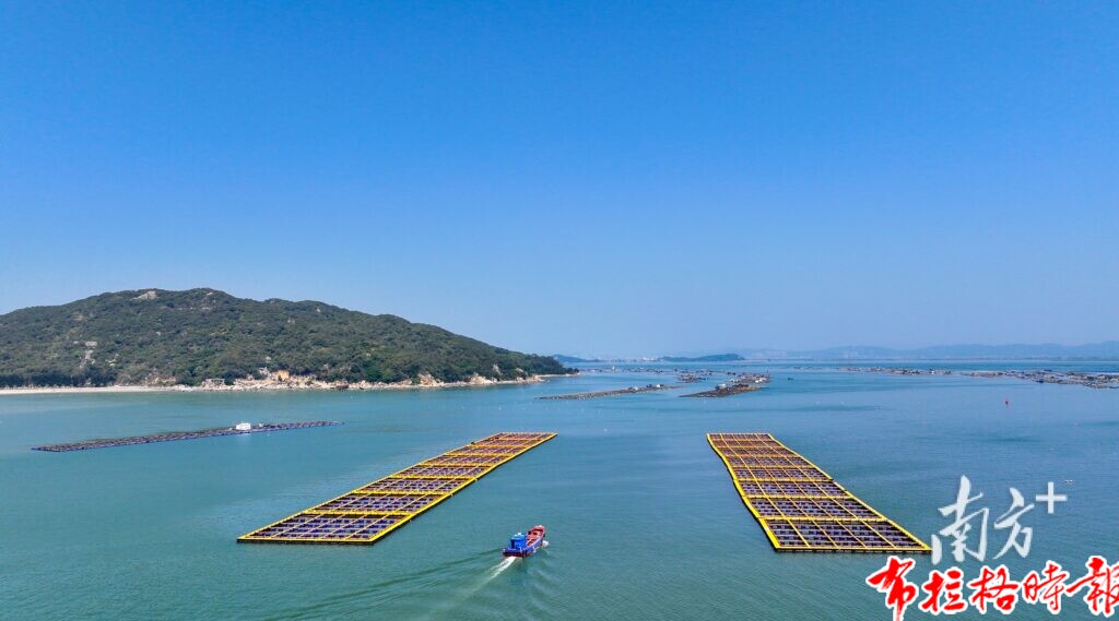 image007 1 1024x569 - 【布拉格时报】冲刺万亿级！广东现代化海洋牧场建设提速