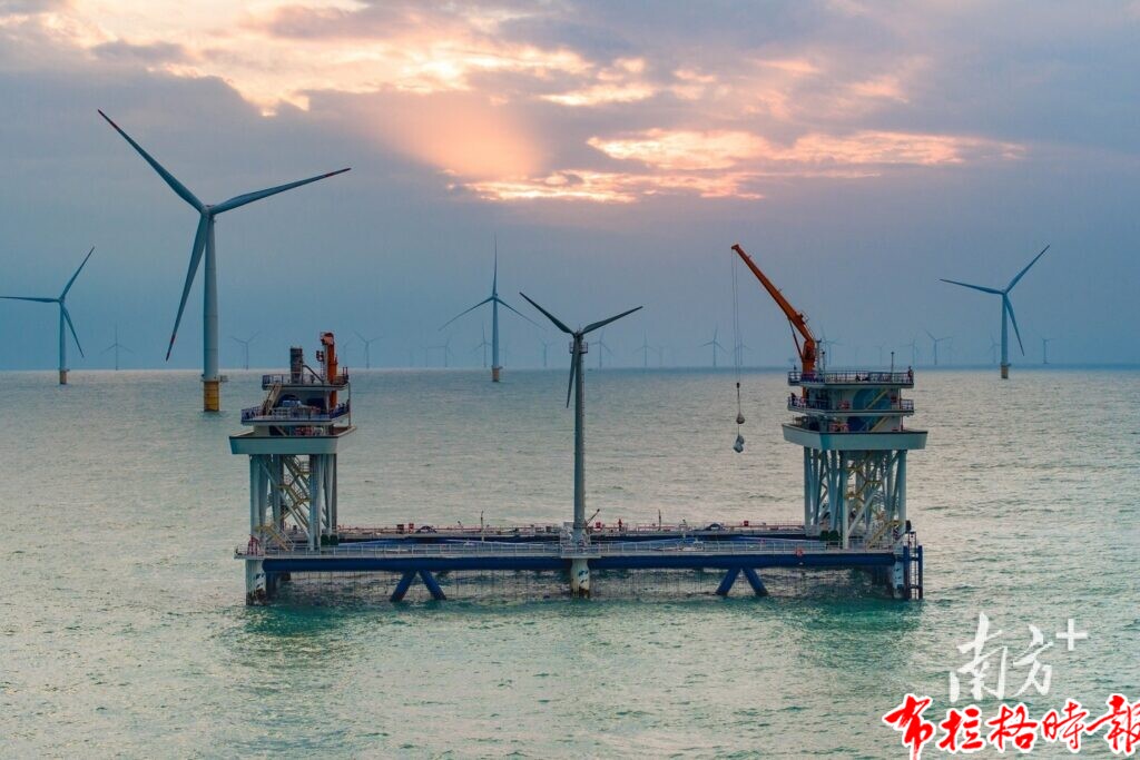 image011 1 1024x683 - 【布拉格时报】冲刺万亿级！广东现代化海洋牧场建设提速