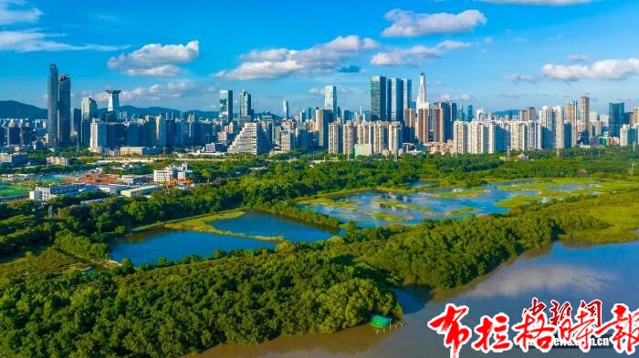 image071 - 【布拉格时报】《共生之城：人与自然和谐共生的深圳实践》白皮书发布