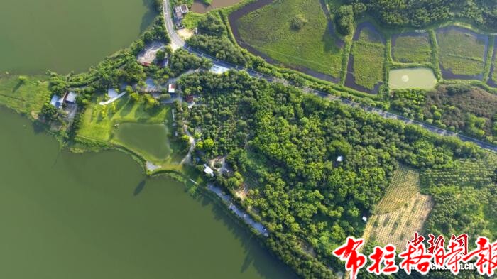 【布拉格时报】(侨乡新貌)江门“侨咖”香飘百年 “无中生有”铺就产业长卷 image079 - 【布拉格时报】(侨乡新貌)江门“侨咖”香飘百年 “无中生有”铺就产业长卷