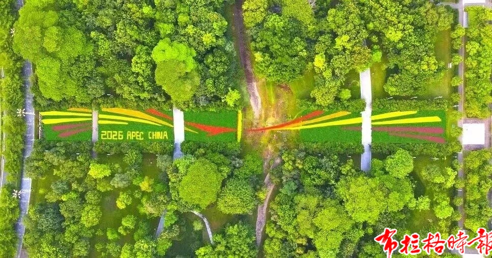 【布拉格时报】喜迎APEC,“氛围组”上线!深圳福田满城盛景待宾朋 image023 - 【布拉格时报】喜迎APEC,“氛围组”上线!深圳福田满城盛景待宾朋