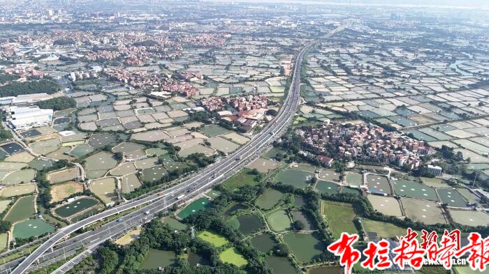 【布拉格时报】广东铺就湿地生态新画卷 image028 - 【布拉格时报】广东铺就湿地生态新画卷