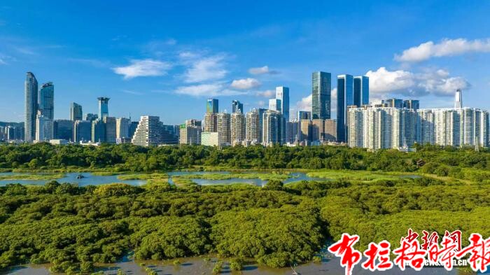 【布拉格时报】广东铺就湿地生态新画卷 image030 - 【布拉格时报】广东铺就湿地生态新画卷