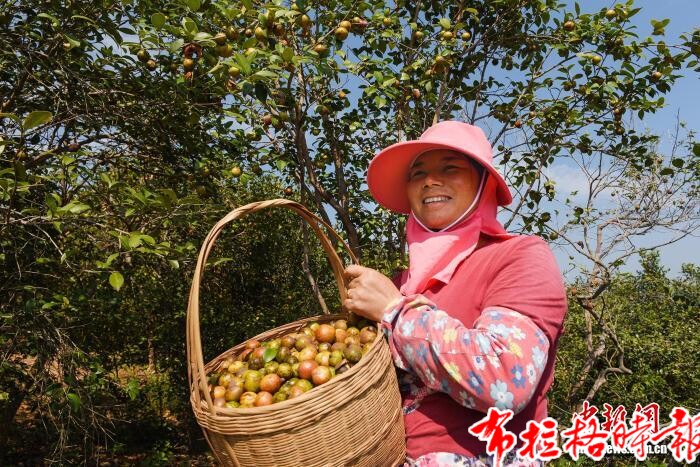 【布拉格时报】广东林业“十五五”规划:到2030年林业产业总产值达1.3万亿元 image049 - 【布拉格时报】广东林业“十五五”规划:到2030年林业产业总产值达1.3万亿元