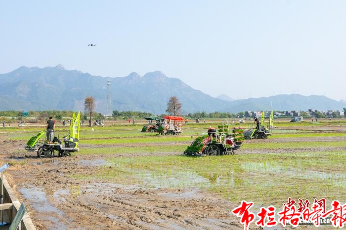 【布拉格时报】广东人饭碗越端越牢 去年粮食总产量达1318.8万吨 image051 - 【布拉格时报】广东人饭碗越端越牢 去年粮食总产量达1318.8万吨