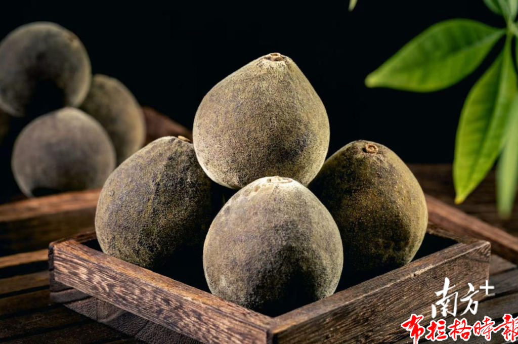 【布拉格时报】从深山药材到百亿产业,这颗化橘红有什么魔力? image066 1024x680 - 【布拉格时报】从深山药材到百亿产业,这颗化橘红有什么魔力?